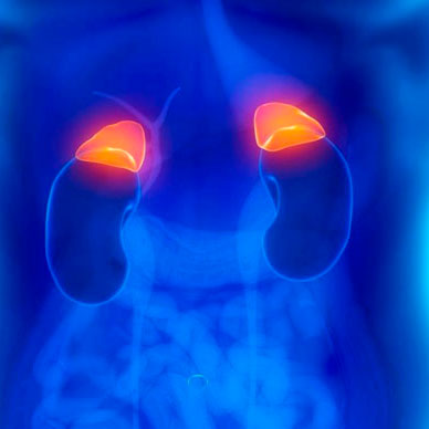 Аператыўныя ўмяшанні на наднырачніках