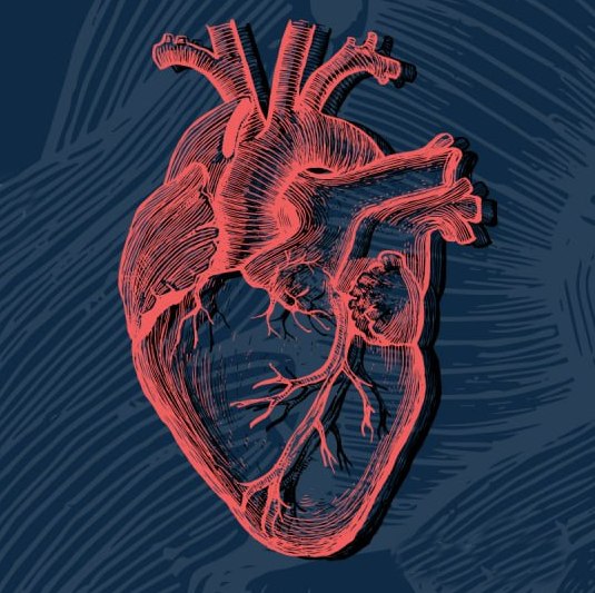 С заботой о сердце