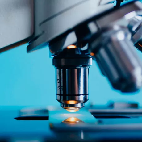 Планавае гісталагічнае даследаванне тканкі 