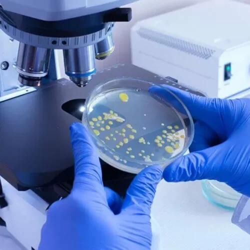 Инфекционно-эпидемиологический отдел