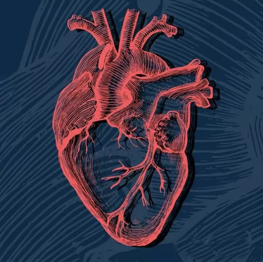 С заботой о сердце